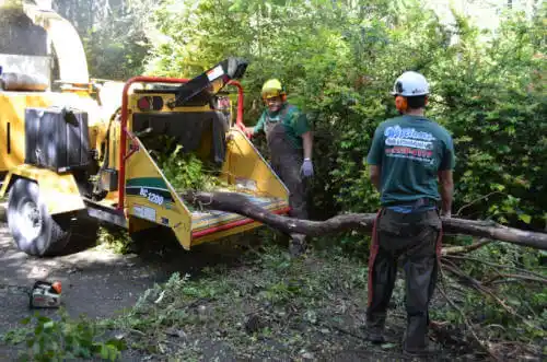 tree services Iowa